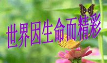 世界因动而精彩