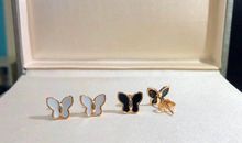 平淡无奇的白蝴蝶