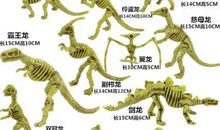 我们班的“龙骨头”