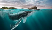 世界是什么样子的