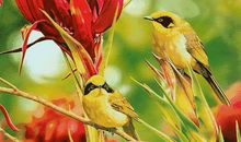 留在我心中的那份温暖