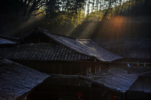 阳光在我心中