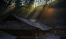 晒晒我心中的那缕阳光