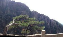 一次令人难忘的爬山