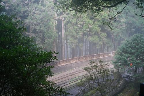 读《森林小火车》的思考