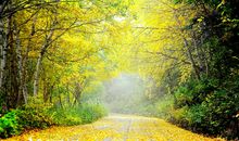 那道独一无二的风景