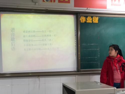 有趣的综合实践活动