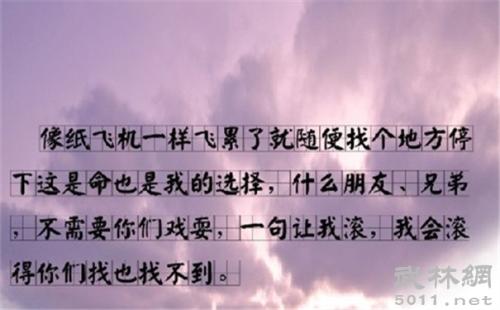 永远不会忘记组成