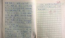 这一次我收获了什么作文