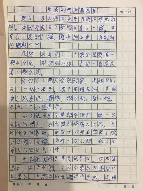 我家人的新成员组成