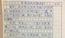 我家的新成员作文