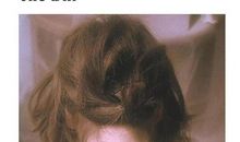 蜻蜓点水的秘密