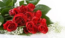 一束美丽的玫瑰花