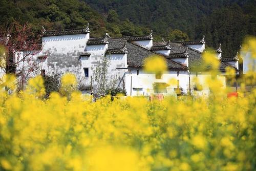 Wu源介绍