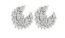 记忆中的那片繁星