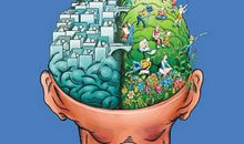 一个脑细胞的自述