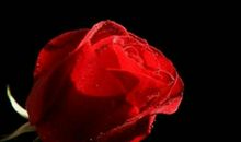 生活处处有善良