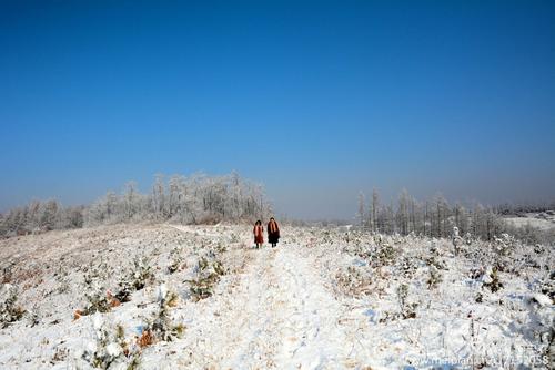 再见雪
