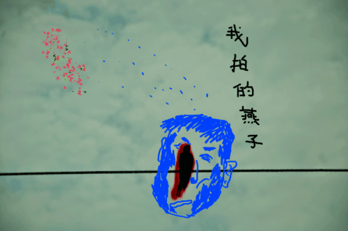 我家的周末