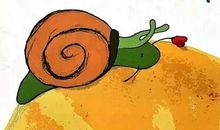 我的蜗牛好朋友