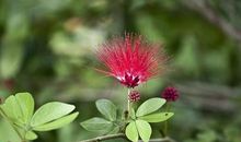 做一片云，真好