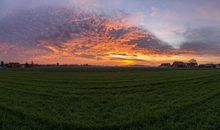 飞翔是青春的姿态