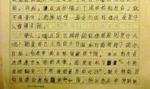 我独自一个人在家作文