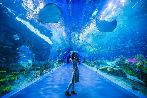 参观水族馆