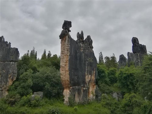 游览云南石林