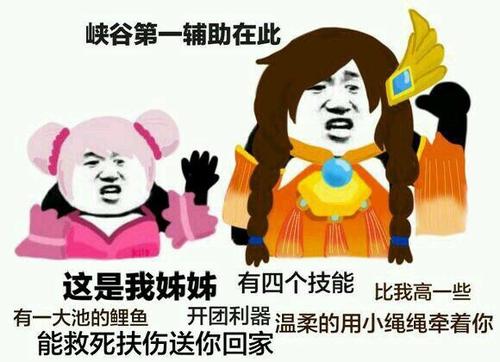 我和姐姐换了角色