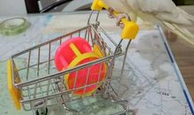 我家的鹦鹉作文