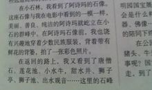 以慢为题的作文