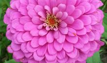 生命中最美的一刻