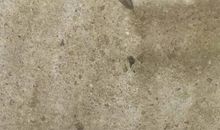 再也不捉蜗牛了