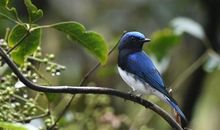 令人惊叹的接力赛