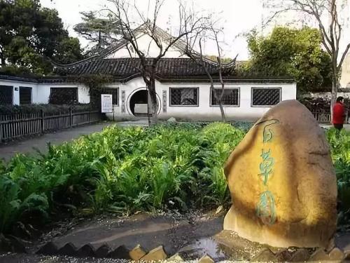 鲁迅作品中的百草园