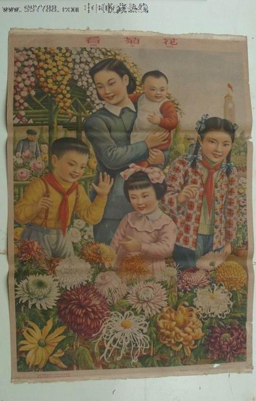 我缩了五十倍