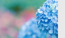 用欣赏的眼光看世界