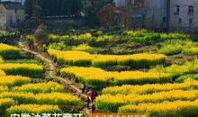 那些难忘的日子