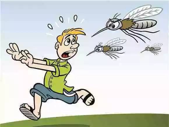 我最怕蚊子
