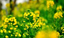 走进春日的温暖