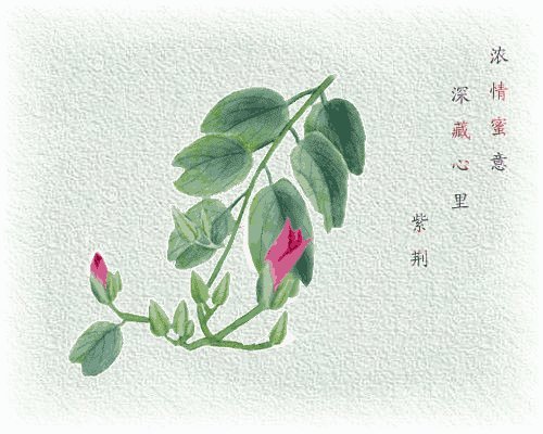 健康感觉很好