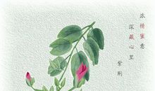 健康的感觉真好