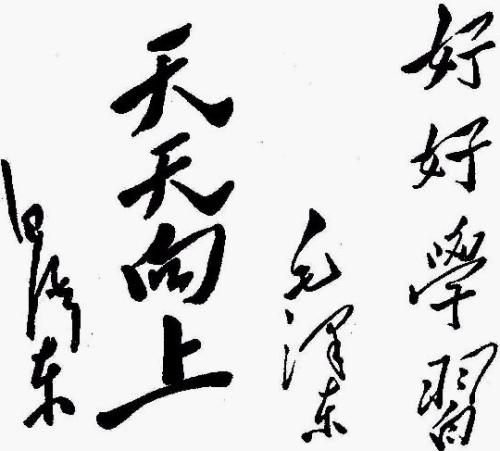 努力学习，每天进步