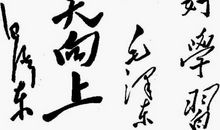 好好学习，天天向上