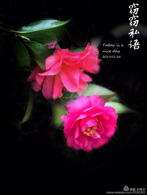 那种内心的香气