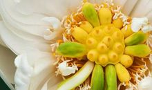 借我一双慧眼作文