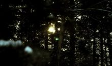 一个黑色的下午