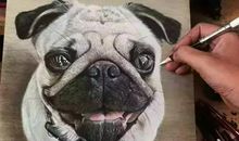 一个眼神就够了