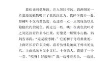 秋天的叶子作文